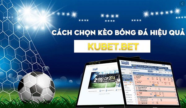 Cá cược bóng đá Online tại nhà cái Kubet 01