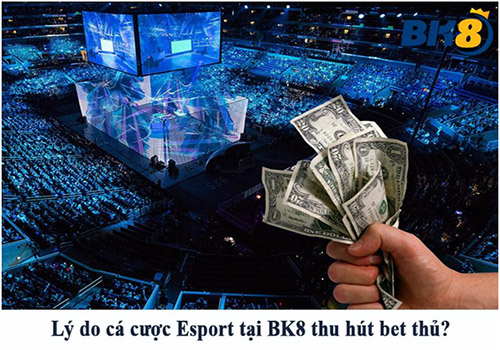 Lý do các cược Esport tại BK8 thu hút hàng ngàn bet thủ mỗi ngày 01