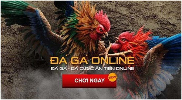 Nhà cái đá gà uy tín tại Việt Nam hiện nay 02