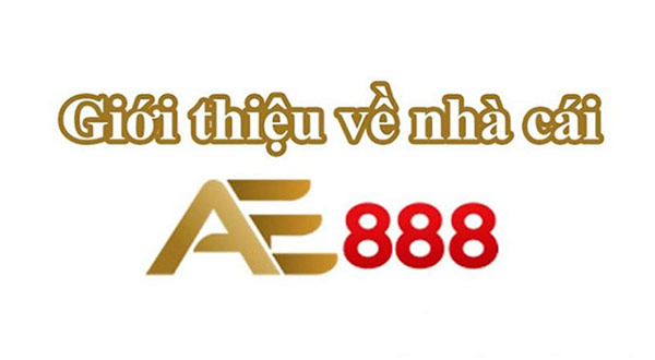 Nhà cái đá gà uy tín tại Việt Nam hiện nay 04