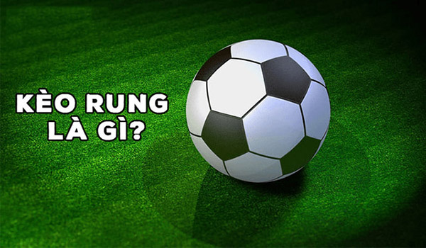 Kinh nghiệm bắt kèo Rung khi cá độ bóng đá Loto188 01