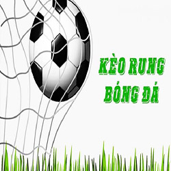 Tìm hiểu về cược Rung là gì? Kinh nghiệm bắt kèo Rung khi cá độ bóng đá Loto188 icon