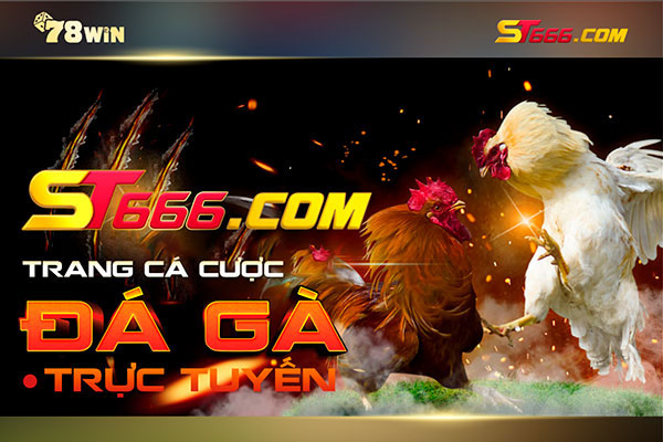 Công game ST666 đá gà trực tuyến