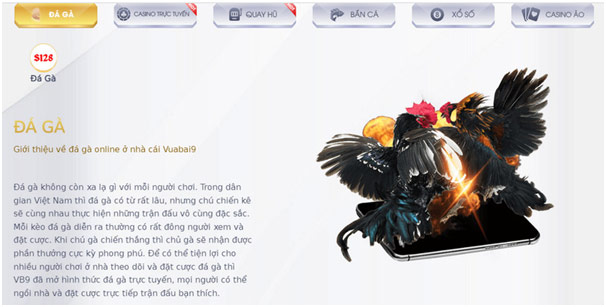Vuabai9 - Trang cá cược uy tín nhất thị trường 12