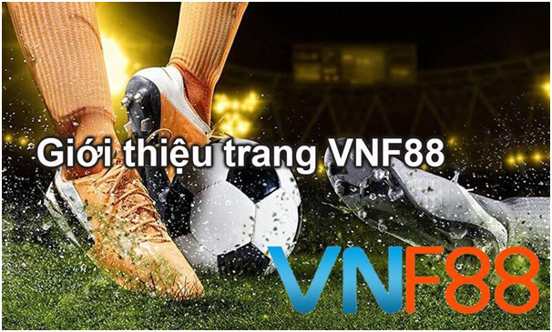 VNF88 sân chơi cá cược thể thao, đá gà trực tuyến uy tín 1