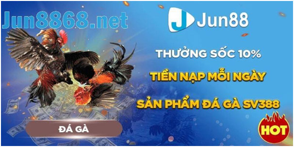 Những Địa Chỉ Live Đá Gà Cựa Dao Uy Tín Nhất Tại Jun88 2
