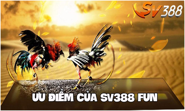 SV388 Fun trực tiếp đá gà Thomo, Philippines hàng ngày 2