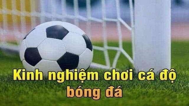 Kubet tỷ lệ cá cược bóng đá ăn cao 4
