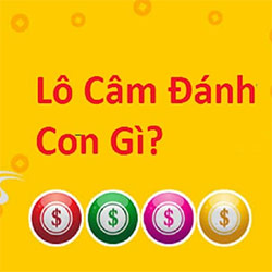 Một số kinh nghiệm đánh lô đầu câm chuẩn xác nhất icon