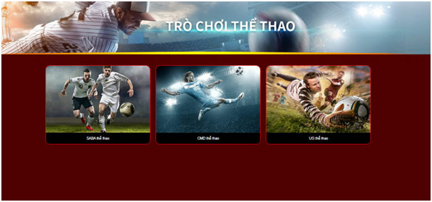 Tổng quan về những trò chơi cá cược thể thao tại nhà cái 33win 1