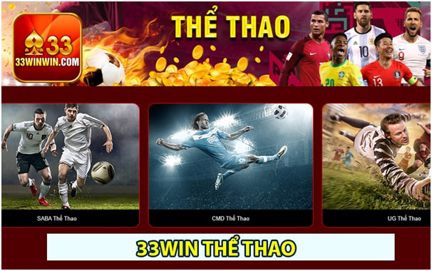 Tổng quan về những trò chơi cá cược thể thao tại nhà cái 33win 3