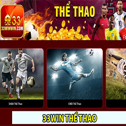 Tổng quan về những trò chơi cá cược thể thao tại nhà cái 33win icon