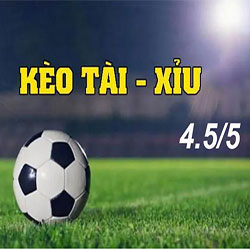 Kèo chấp 4.5/5 là gì? Kinh nghiệm cá cược dễ thắng icon